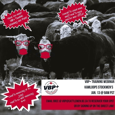 Beef Production Training Webinar | iNFOnews.ca Beef Production Training Webinar