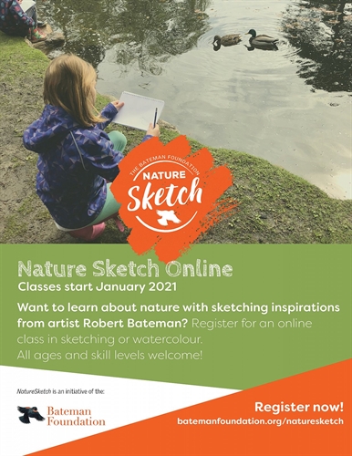 Junior Winter Online Nature Sketch
