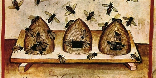 Bees and beeswax – the gold of the medieval world?