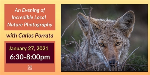 Incredible Nature Photography with Inverness Photographer Carlos Porrata | iNFOnews.ca Incredible Nature Photography with Inverness Photographer Carlos Porrata