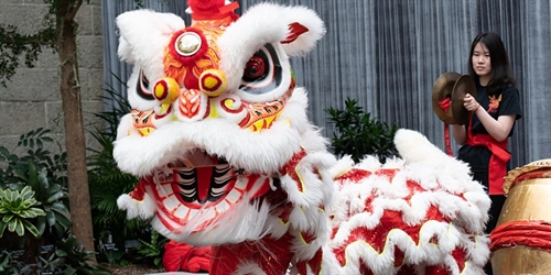 Lunar New Year Virtual Celebration | iNFOnews.ca Lunar New Year Virtual Celebration