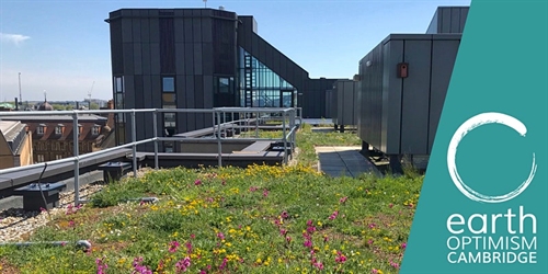 Bringing nature in – biophilic and living design