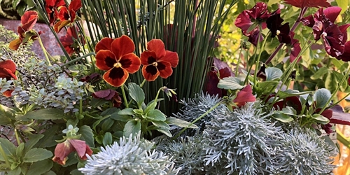 Thrillers, Fillers and Spillers | iNFOnews.ca Thrillers, Fillers and Spillers