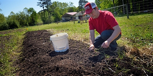 Sustainable Gardening Series: Managing Weeds in the Garden