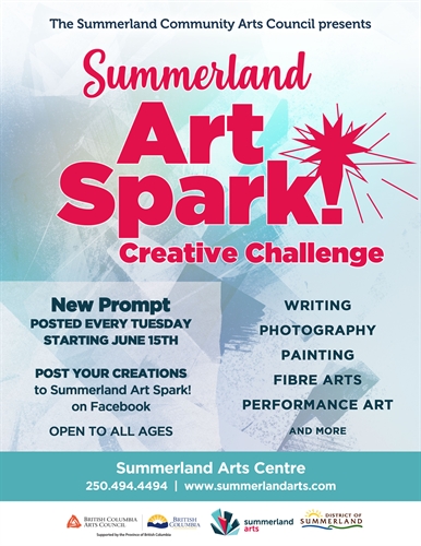 SPARK! Creative Challenge