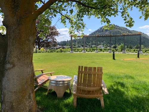Tai Chi Class with Wine Country Tai Chi
