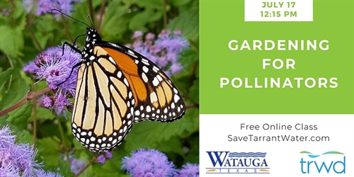 Gardening for Pollinators | iNFOnews.ca Gardening for Pollinators