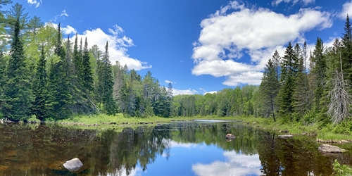 Accessible Nature Wellness Program #2: Nature Mindfulness - Finding Refuge | iNFOnews.ca Accessible Nature Wellness Program #2: Nature Mindfulness – Finding Refuge