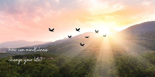 How Mindfulness Can Change Your Life