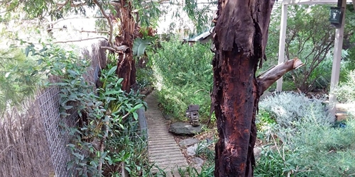 Create a Habitat Garden