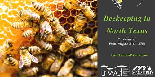 Beekeeping