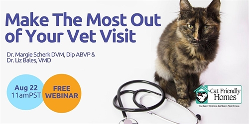 Make the Most Out of your Veterinary Visit