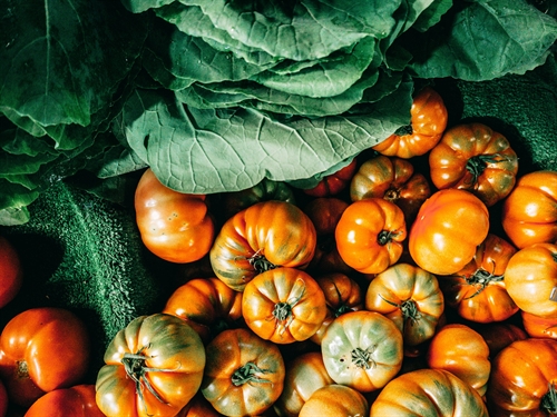 Fall Harvest Market