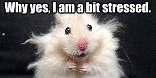 Tools to manage the feelings of overwhelm, stress, anxiety, depression