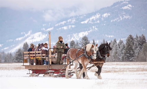 Sleigh Rides | iNFOnews.ca Sleigh Rides
