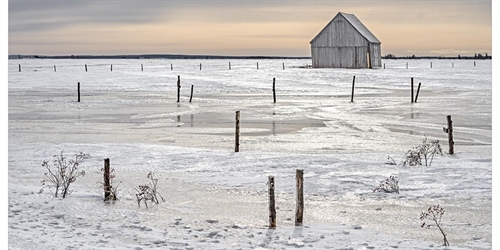 Winter Photography with Kas Stone | iNFOnews.ca Winter Photography with Kas Stone