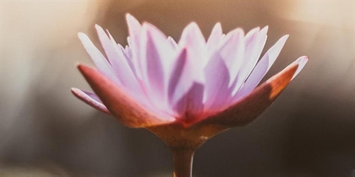 Time For Healing: Creative Meditation