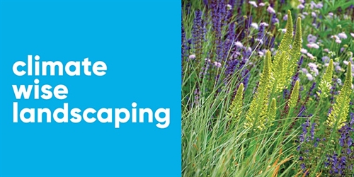 Climate-wise landscaping - Sequestering carbon at home | iNFOnews.ca Climate-wise landscaping – Sequestering carbon at home