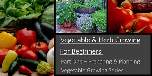 Vegetable & Herb Growing for Beginners - Part One | iNFOnews.ca Vegetable & Herb Growing for Beginners – Part One