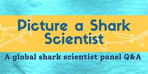 Picture a Shark Scientist