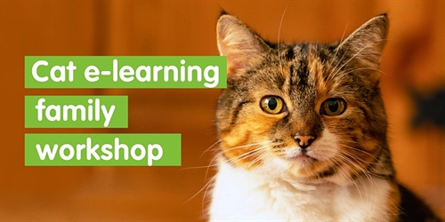 Cat e learning family workshop – Self led