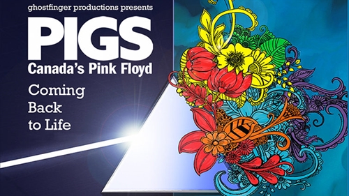 PIGS: COMING BACK TO LIFE TOUR