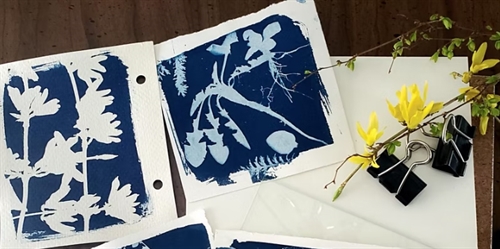 Cyanotypes with Ila Crawford |The Natural Business of Art Workshop