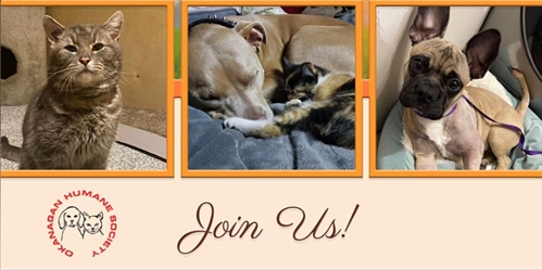 OHS Celebration of Love for our Local Animals