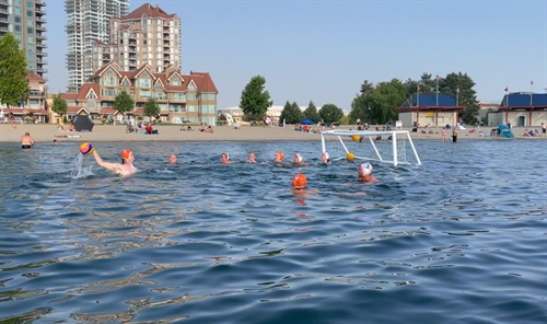Adult Beach Water Polo
