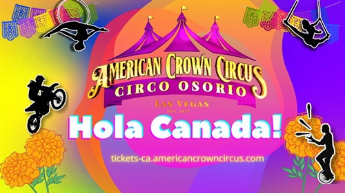 THE CIRCUS IS BACK !