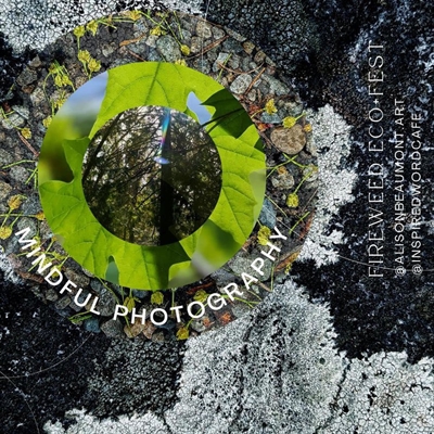 Fireweed Eco-Fest Mindful Photography Workshop