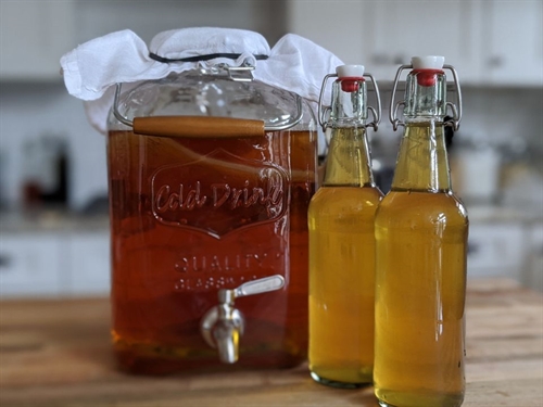Homemade Kombucha Workshop