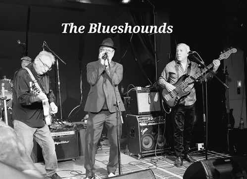 Blues and Ribs at the Elks with the Blueshounds