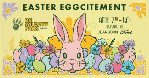 Easter Eggcitemnet at the BC Wildlife Park | iNFOnews.ca Easter Eggcitemnet at the BC Wildlife Park