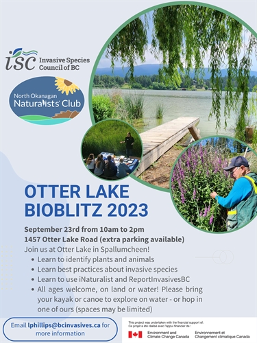 Otter Lake Bioblitz