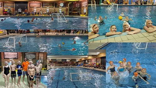 Free Water Polo Tryout Parkinson Rec All Youth Groups