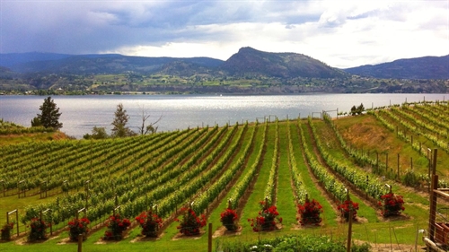 Okanagan Fall Wine Festival (10 days long) | iNFOnews.ca Okanagan Fall Wine Festival (10 days long)