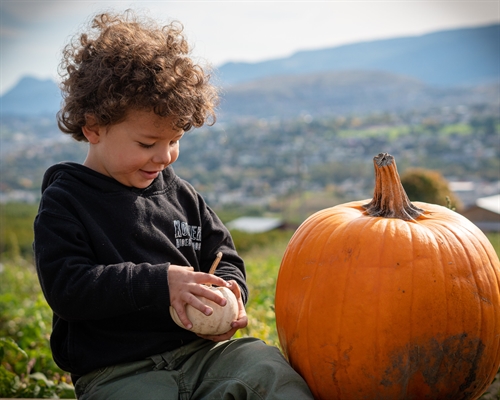 October U Pick Pumpkin Tours (Wednesdays to Sundays)