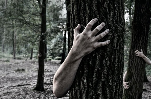 Scare Park (Monday & Tuesday)
