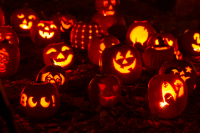 Pumpkin of Light Festival