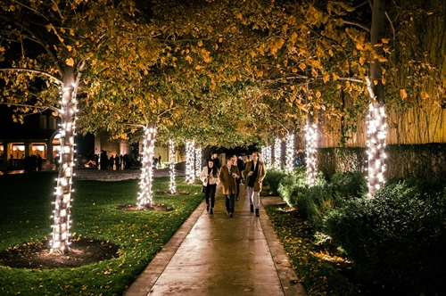 Festival of Trees at Mission Hill Family Estate (Daily)