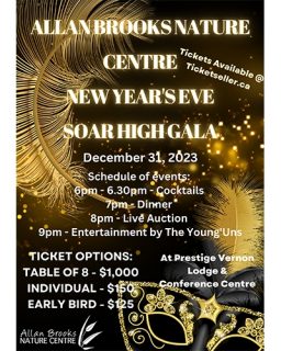 “Soar High” a New Year’s Fundraising Gala