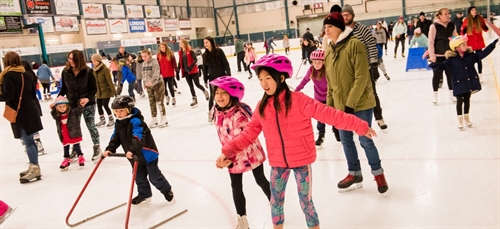 Family Holiday Skate