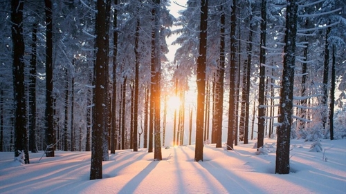 Winter Solstice Song Ceremony