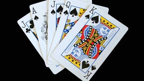 New Year’s Euchre Tournament