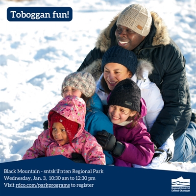 Toboggan Fun!