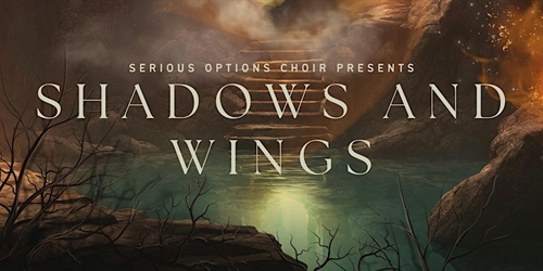 Shadows and Wings