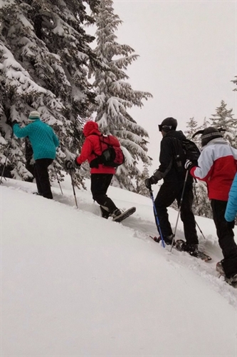 Black Prince Snowshoe Dinner Experiences