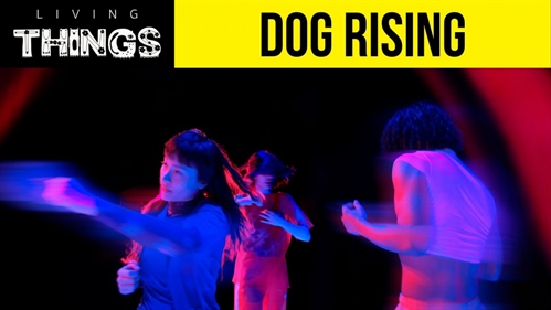 Living Things Festival – DOG RISING (Saturday & Sunday)
