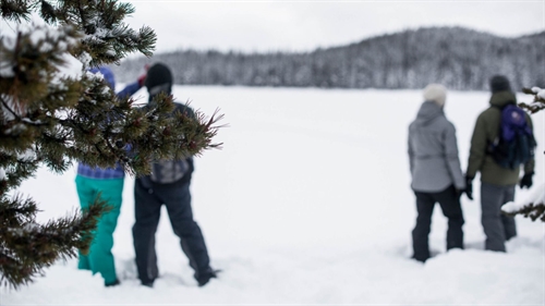 3 Course Fireside Dinner & Snowshoe Tour w/ Hoodoo Adventure Company